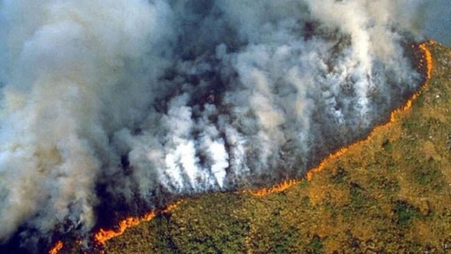 Stop à l'importation de la déforestation !