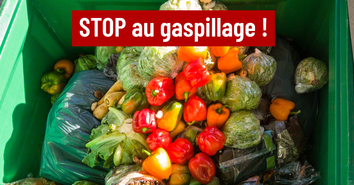 Invendus alimentaires : arrêtons le gaspillage !