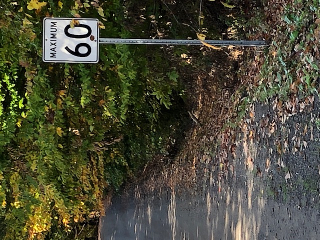 Baisser la limite de vitesse sur le chemin Darrah!