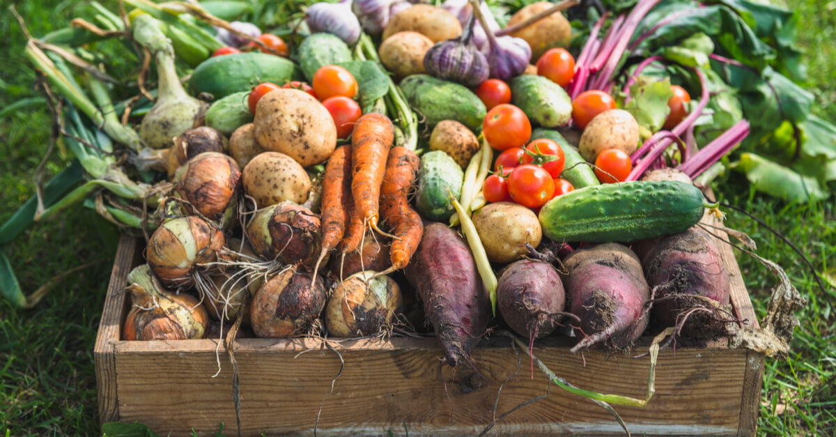 Récupérons de toute urgence notre souveraineté alimentaire régionale !