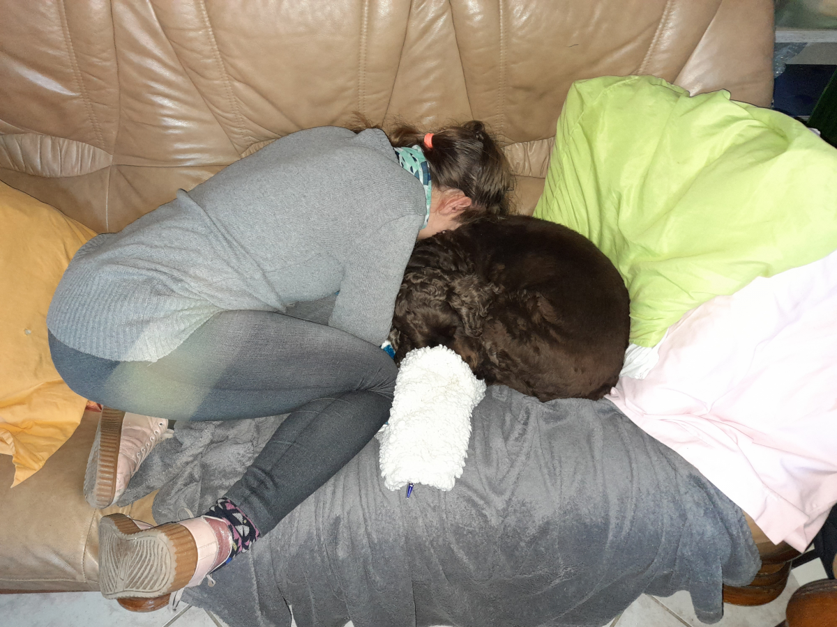 Sauver nos chats et chiens des chalons en Champagne