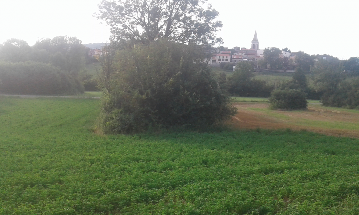STOP au  projet de classement de 22 300 m² en zone à urbaniser à Orcet