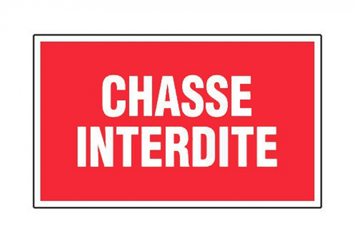 NON à la chasse