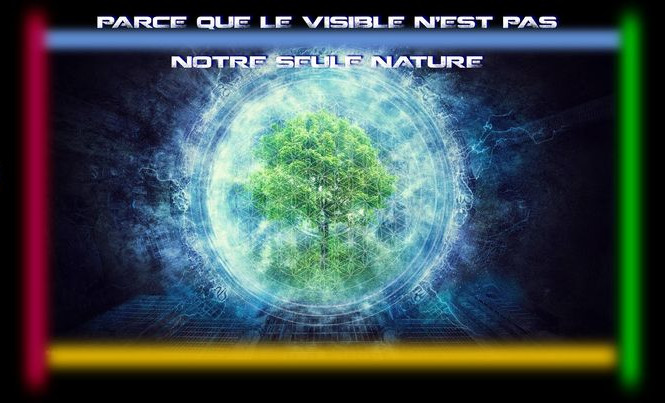 Protection du patrimoine forestier ou naturel.