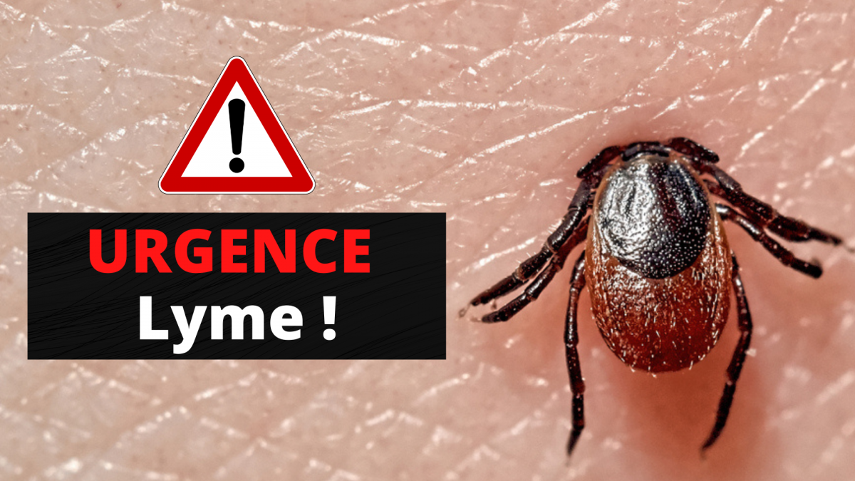 Urgence Lyme !
