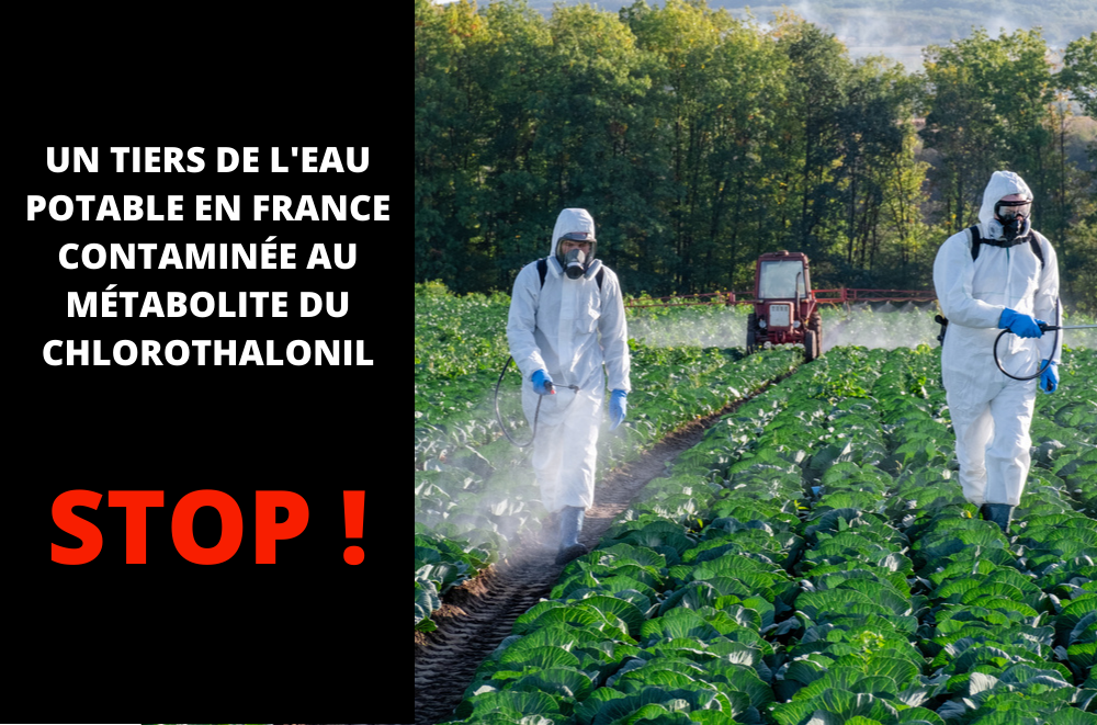 Eau potable polluée aux pesticides : STOP !