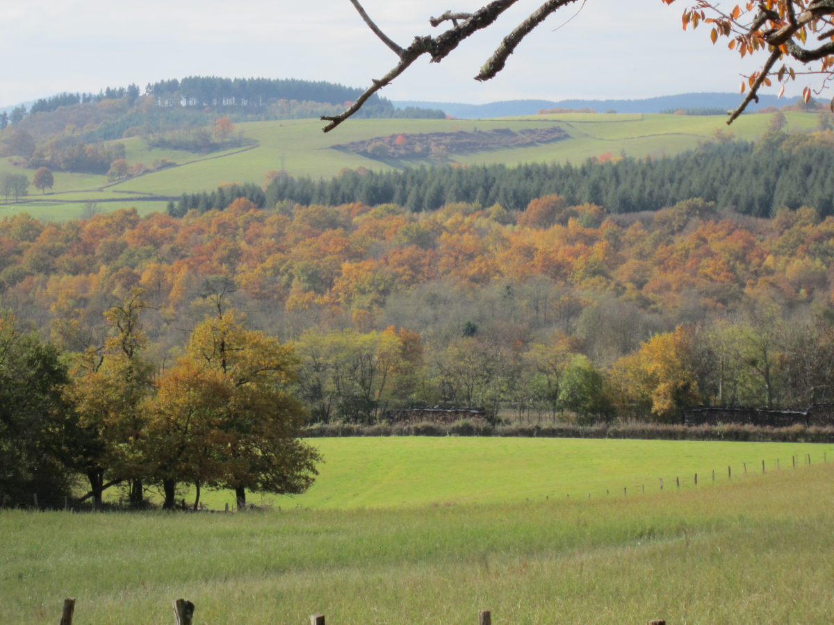NON AUX DETENUS DANS LA CAMPAGNE DU MORVAN