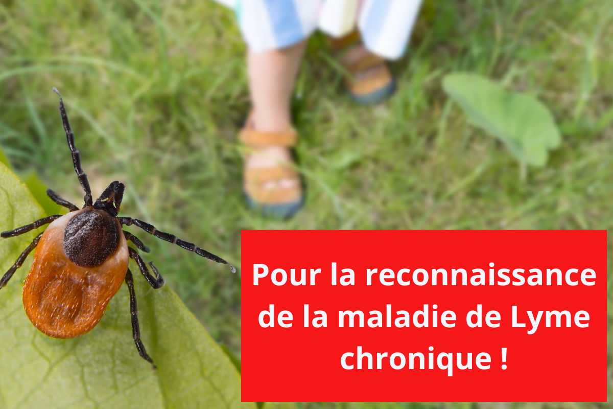 Pour la reconnaissance de la maladie de Lyme chronique !