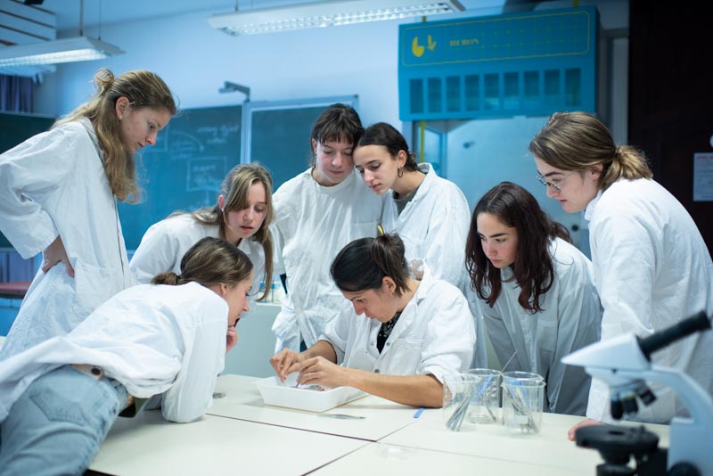 REVOIR LES BARÈMES BAC SVT