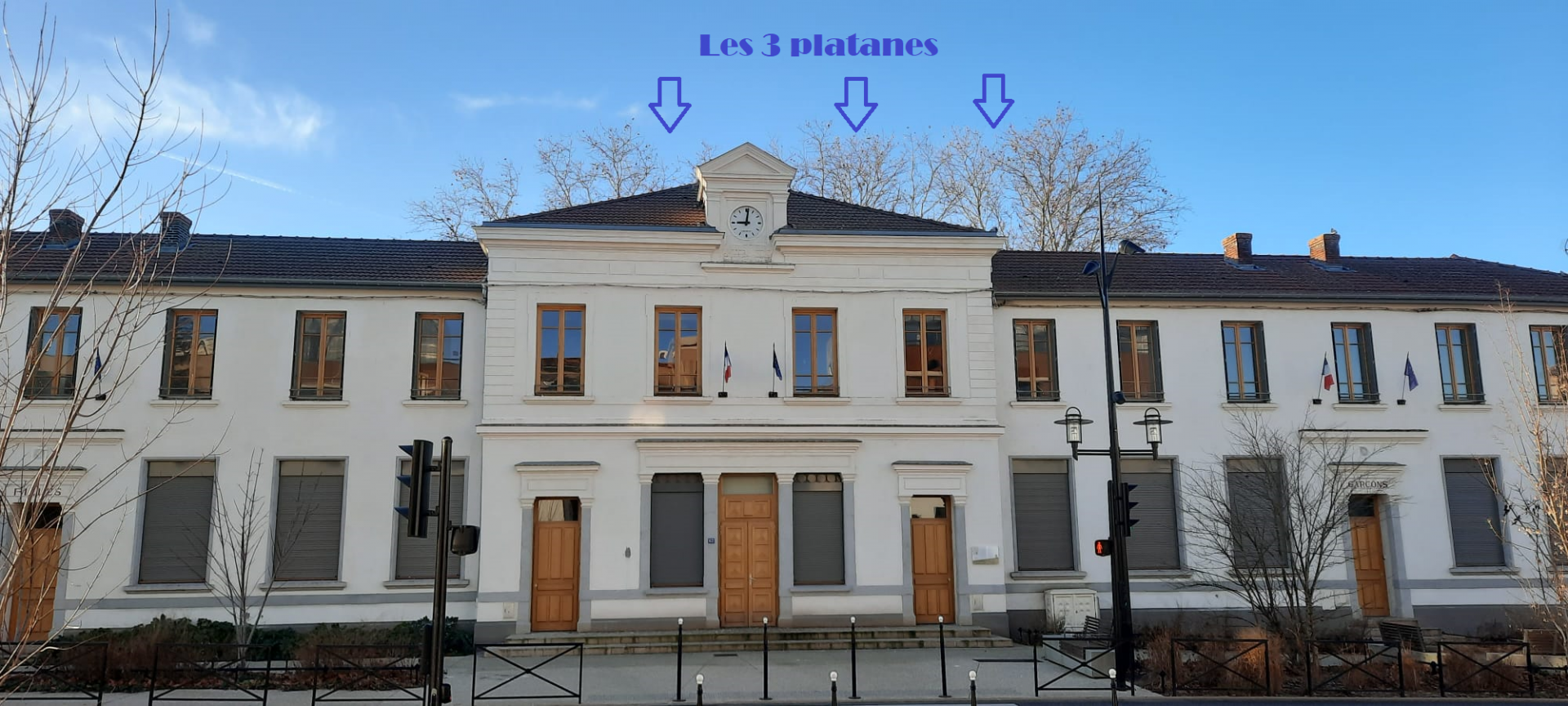 Sauvons les Platanes de Joanny Collomb