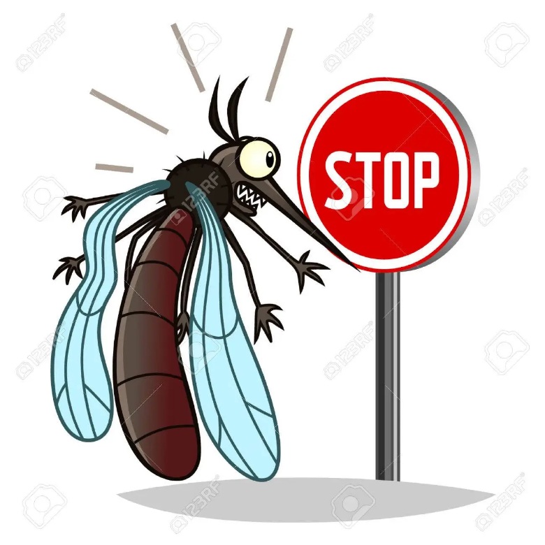 Stop aux moustiques sur Vinay !