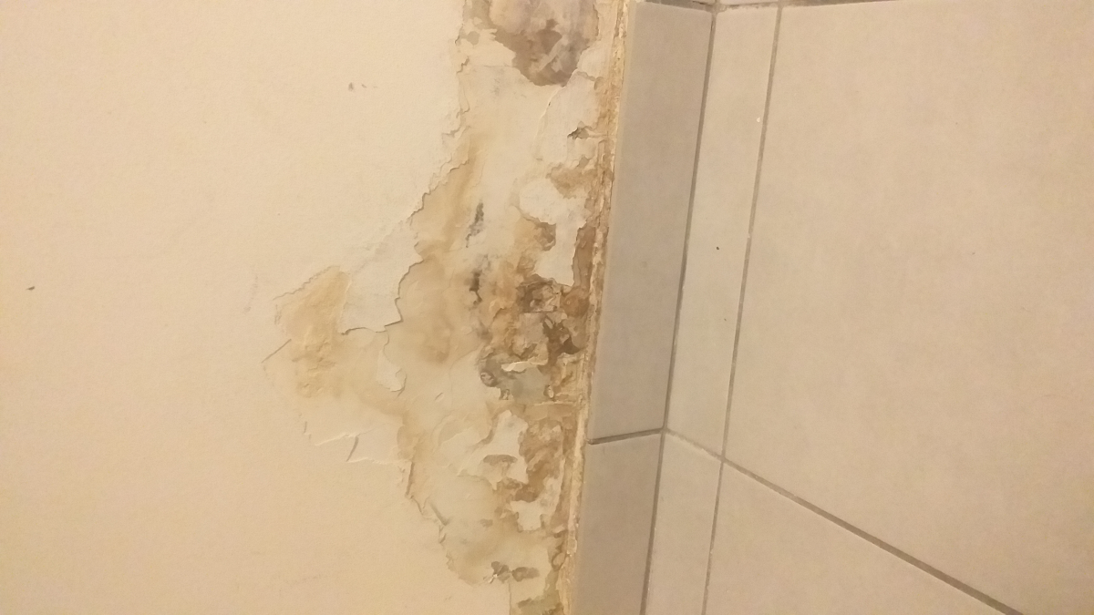 Appartement non vivable au 22 chemin du fort 69130 Ecully