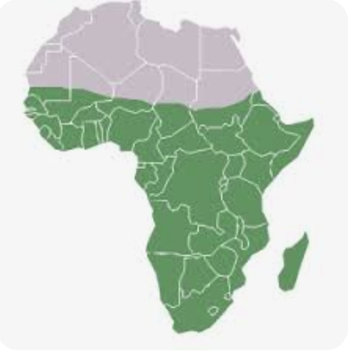 Can uniquement entre africains Subsahariens.