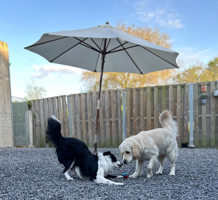 Non à la loi bien être animal sur la taille des enclos