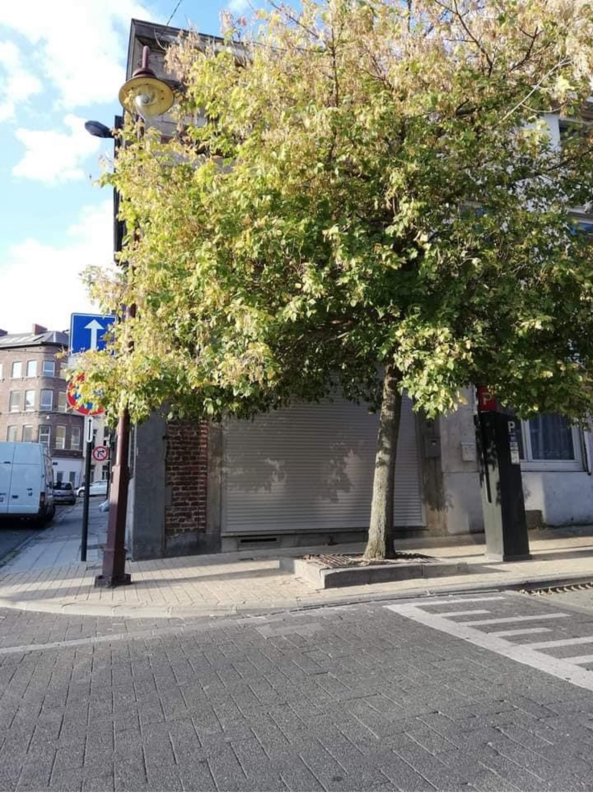 Pétition contre l’abattage de notre arbre rue de France 9 à Charleroi B-6000