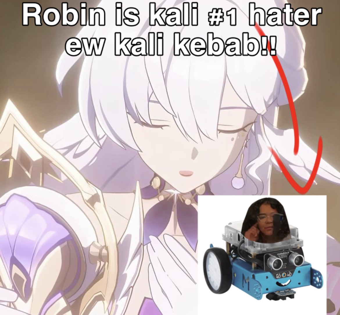 save Robin!!