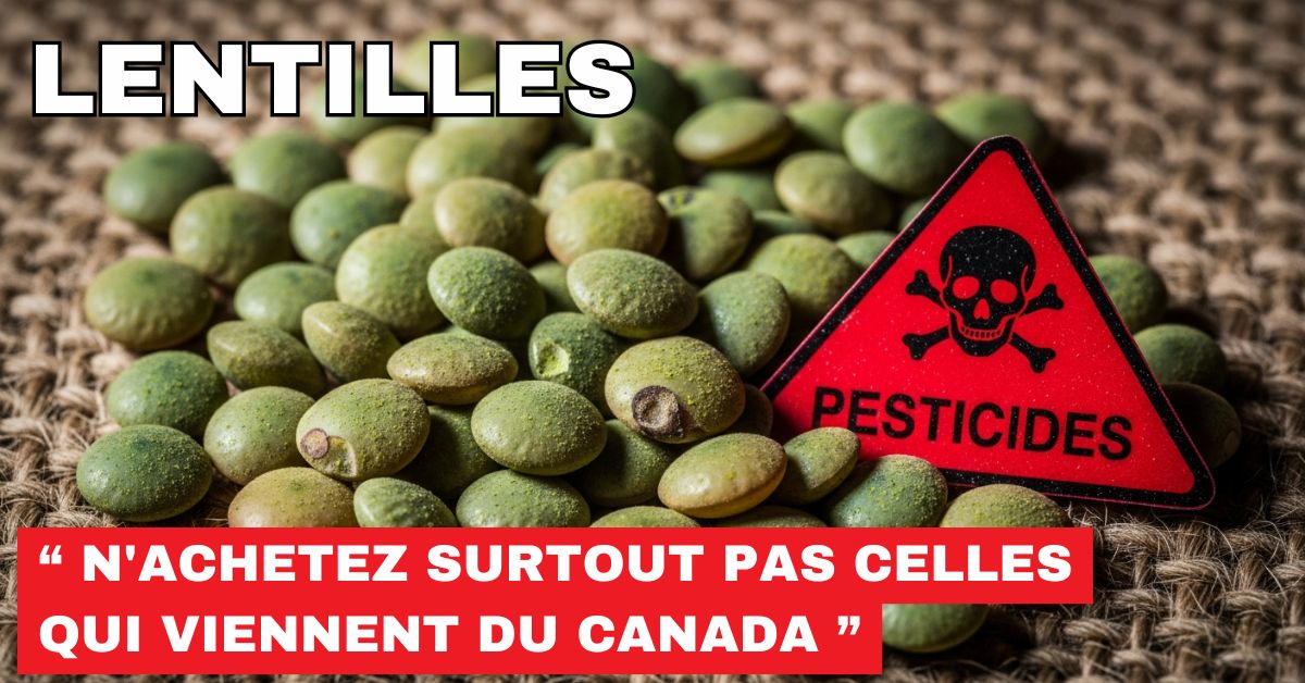 Ces lentilles sont INTERDITES dans nos champs... mais AUTORISÉES dans votre assiette (le scandale qu'on vous cache)