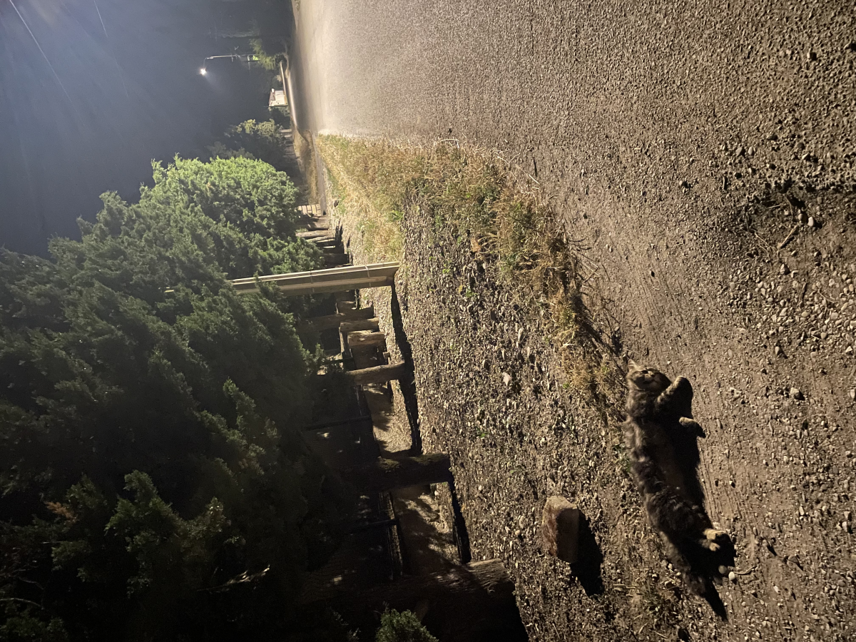 Dos d’ânes sur chemins des areniers pours le bien de tous