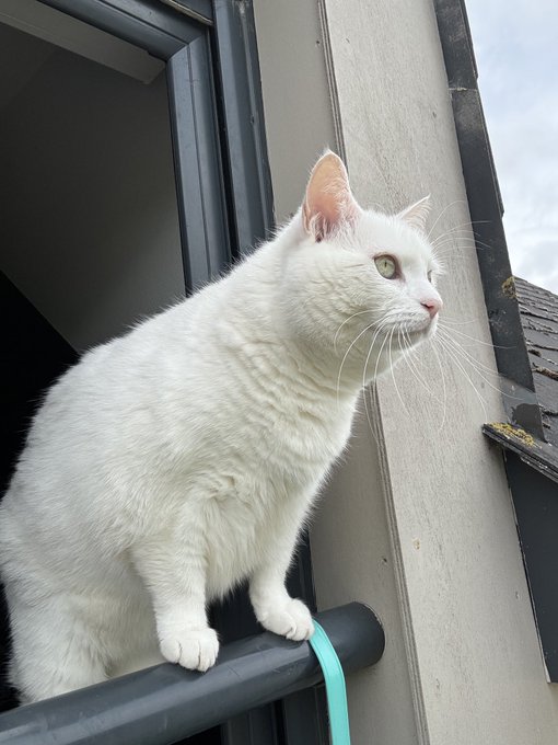 Installer un ralentisseur devant la garderie de Mesnil-Roc'h