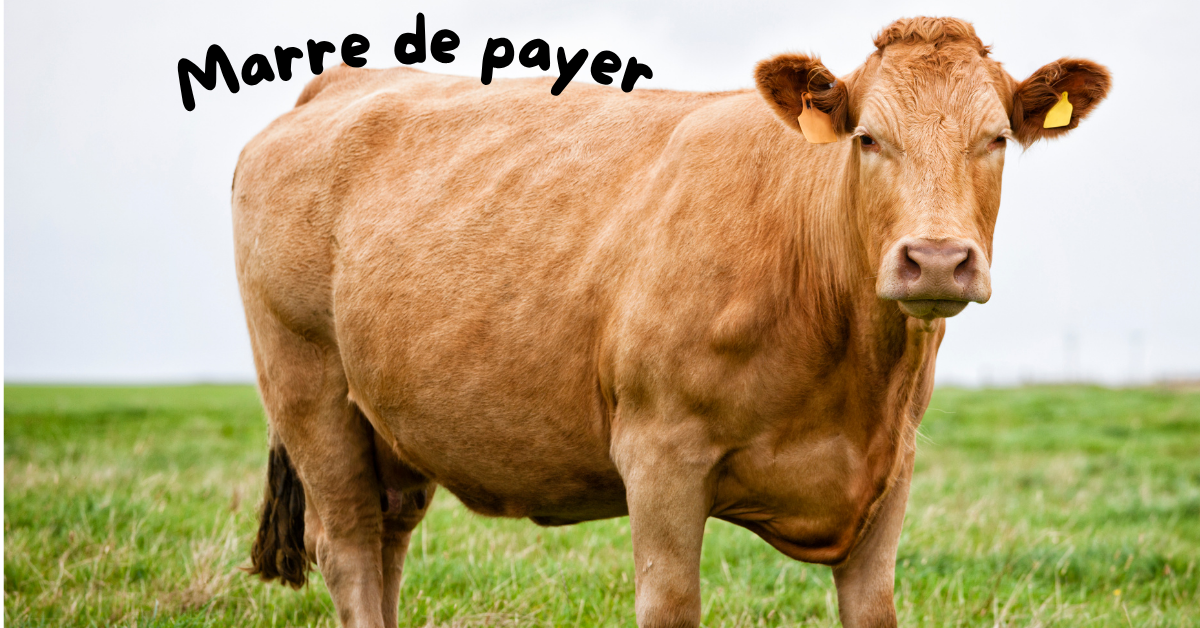 NON À LA TAXE AVEUGLE SUR LES ÉLEVEURS : STOP AU RACKET DÉGUISÉ EN ÉCOLOGIE !