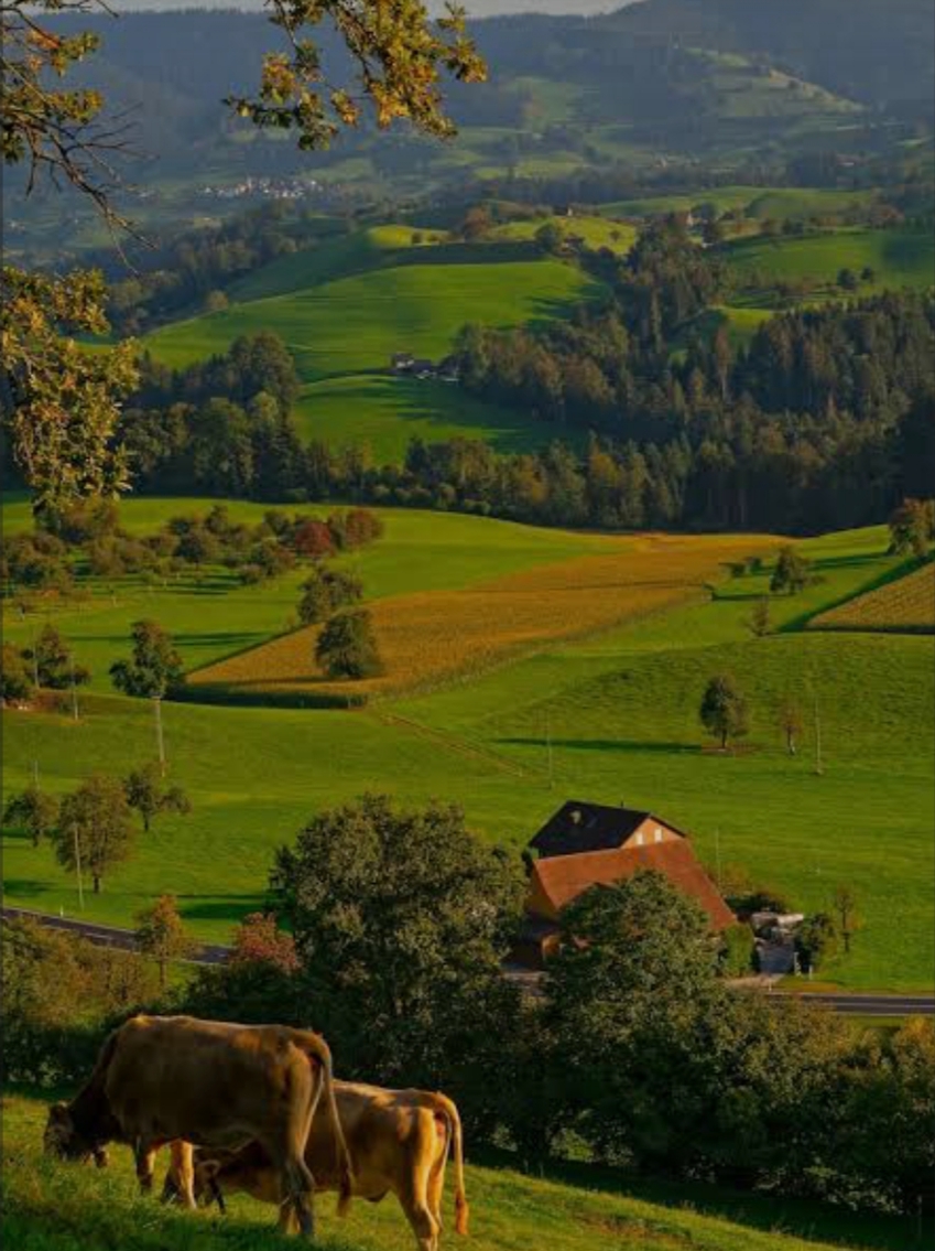 Soutenons nos éleveurs , notre agriculture