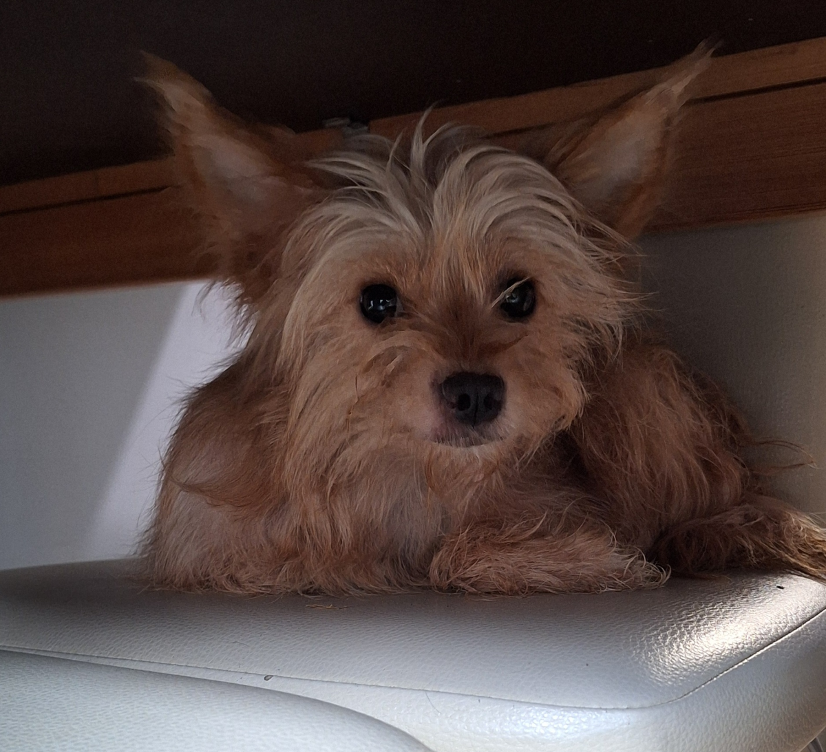 Stop à la mailtraitance Hastière