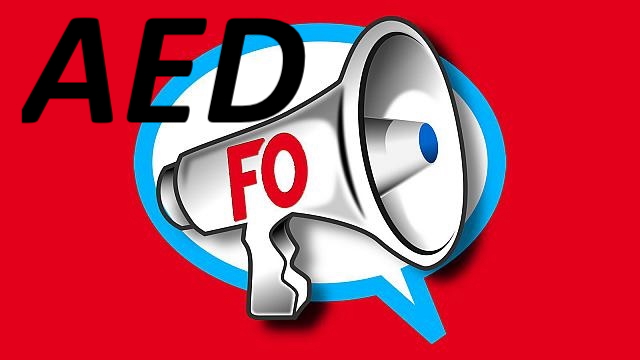 Augmentation des salaires et une grille nationale pour tous les AED !