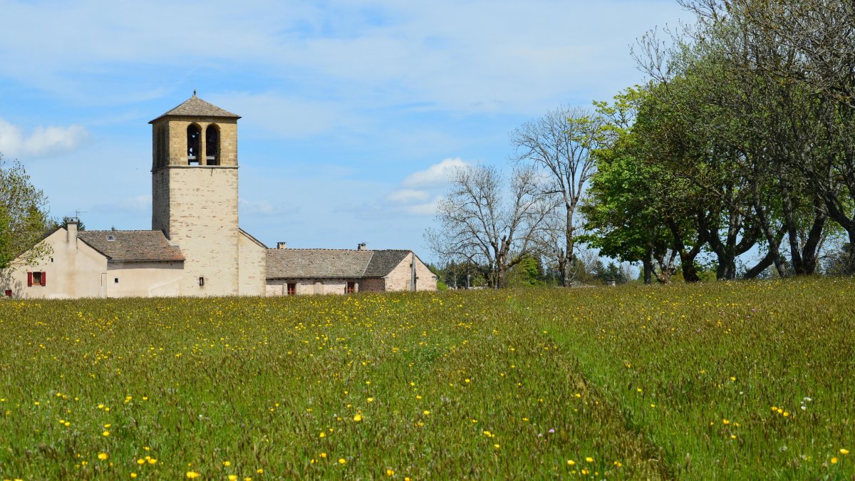 Cloches, coqs, tracteurs : protégeons les traditions sonores de nos campagnes rurales