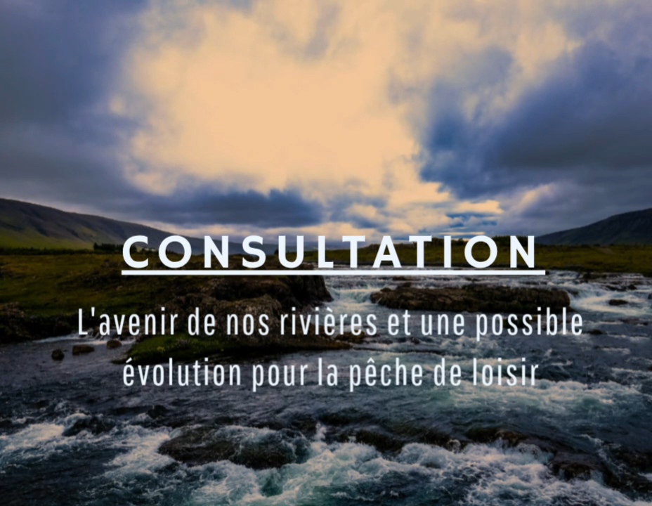 Vos réponses et vos suggestions seront les bienvenues et resteront confidentielles.