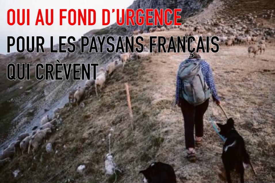CRÉATION D’UN FONDS D’URGENCE POUR LES PAYSANS FRANÇAIS QUI CRÈVENT