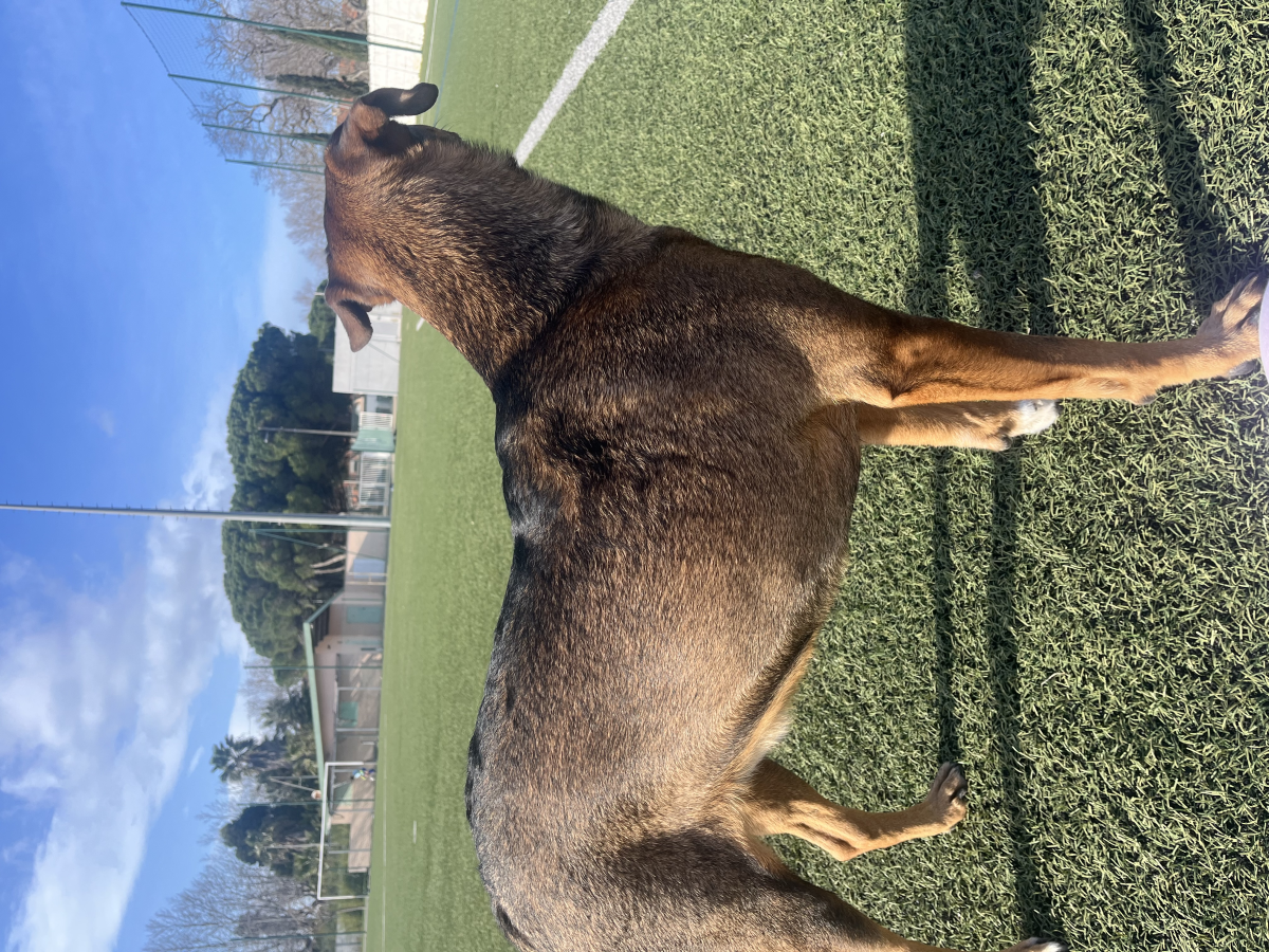 Demande de placement à la spa