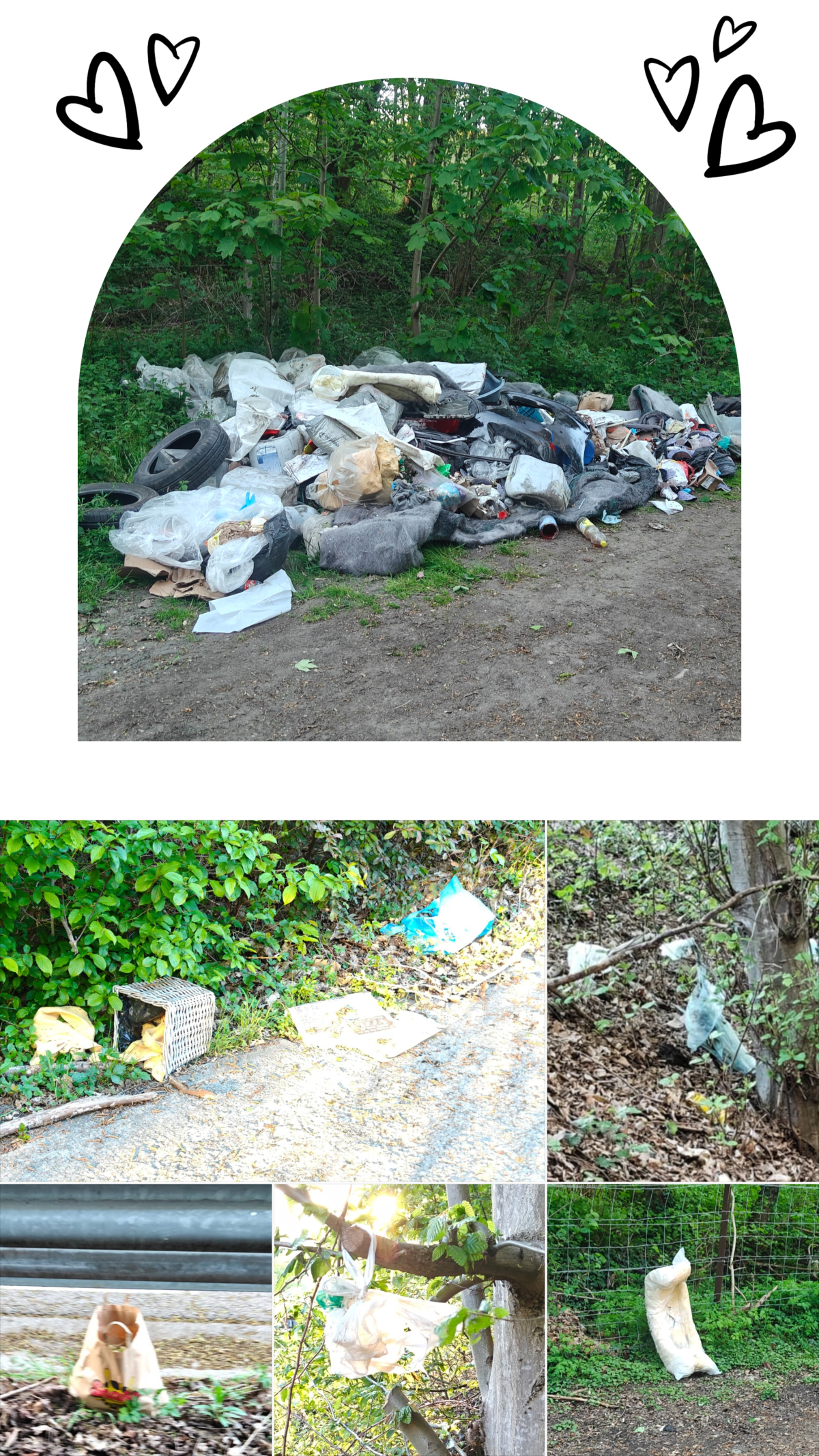 Chasse aux pollueurs et criminels du Bois de Soleilmont. Empechons-les de nuire à notre nature, à nos animaux, à nous!