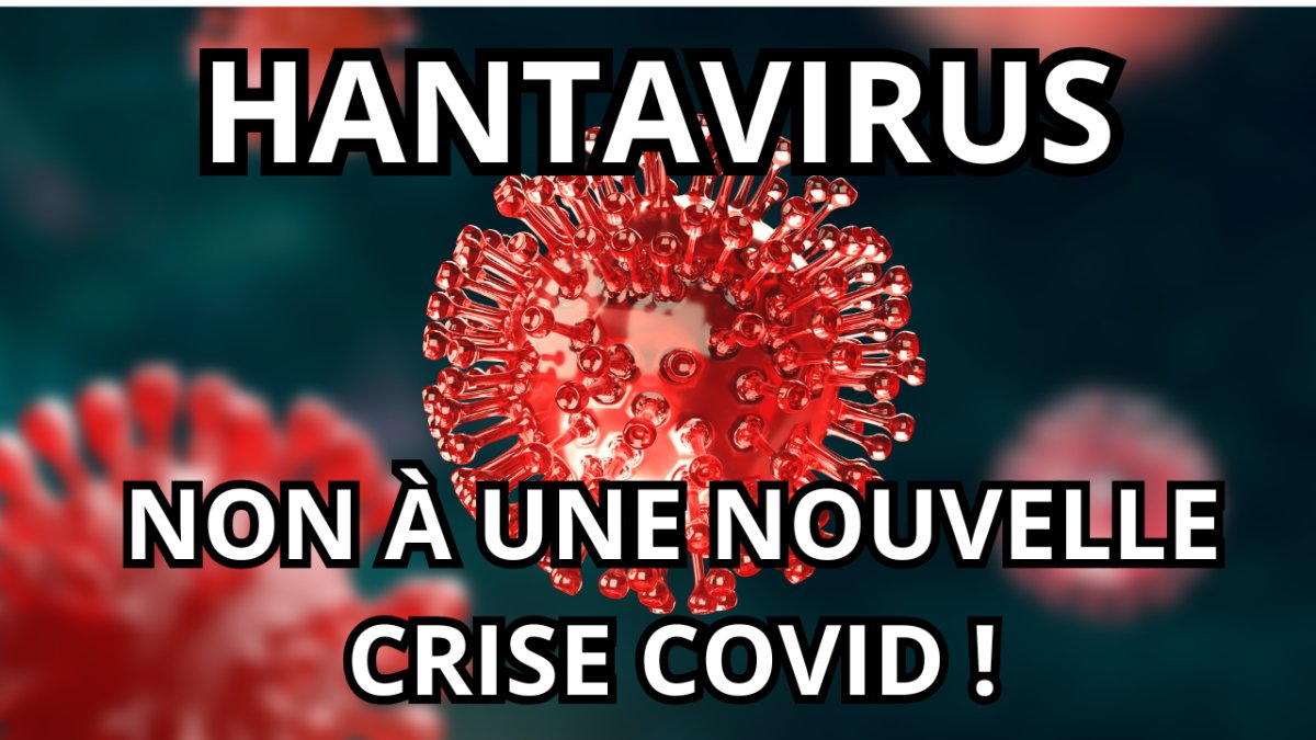 Hantavirus : NON à une nouvelle crise covid !