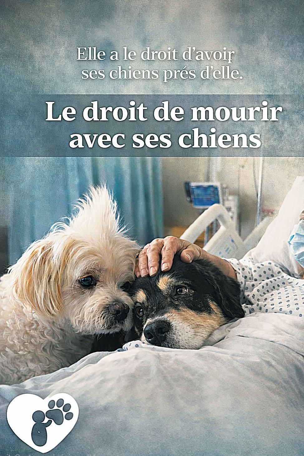 Le droit de mourir avec ses chiens