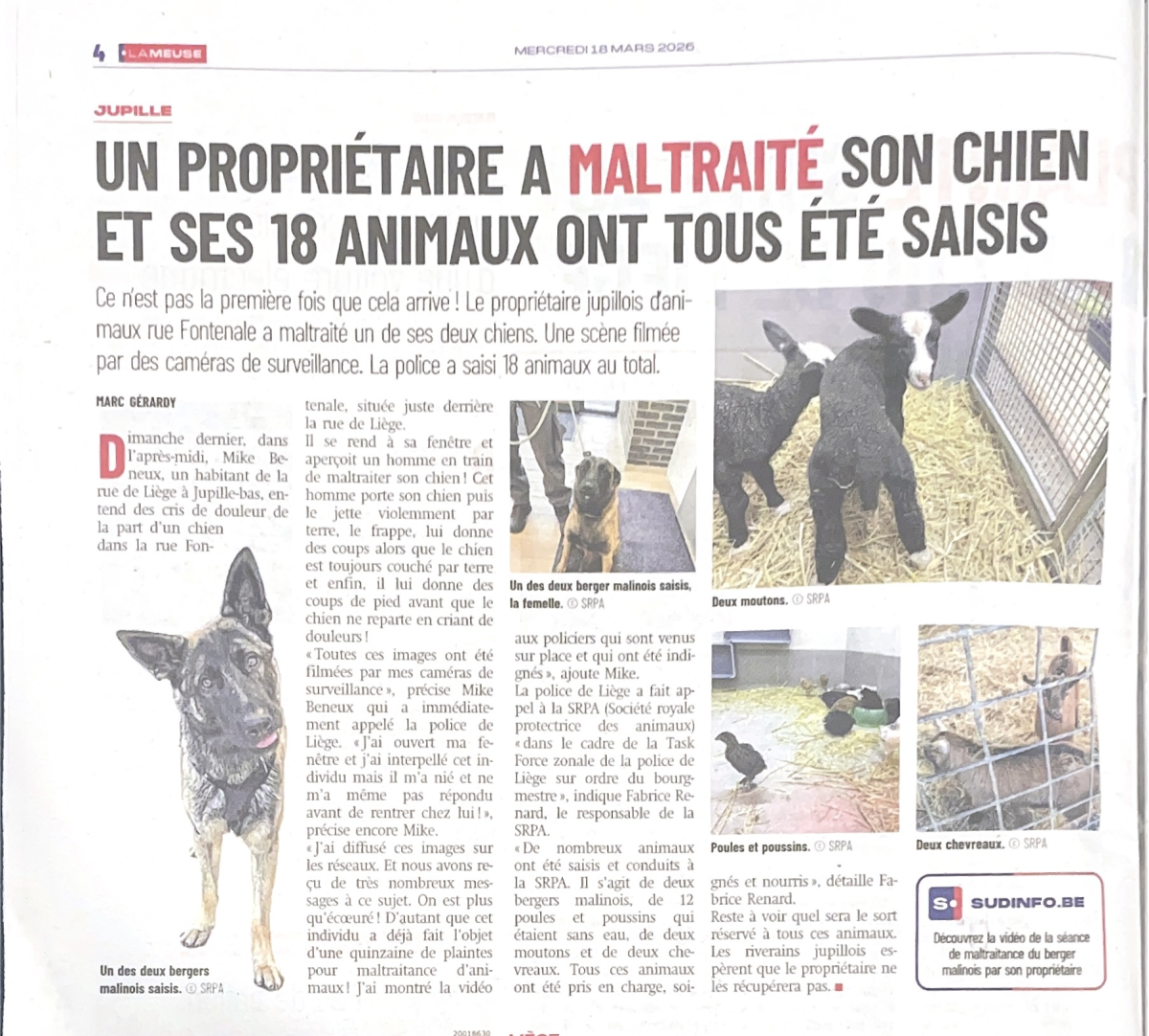 Interdiction de posséder un animal quand il y a maltraitance