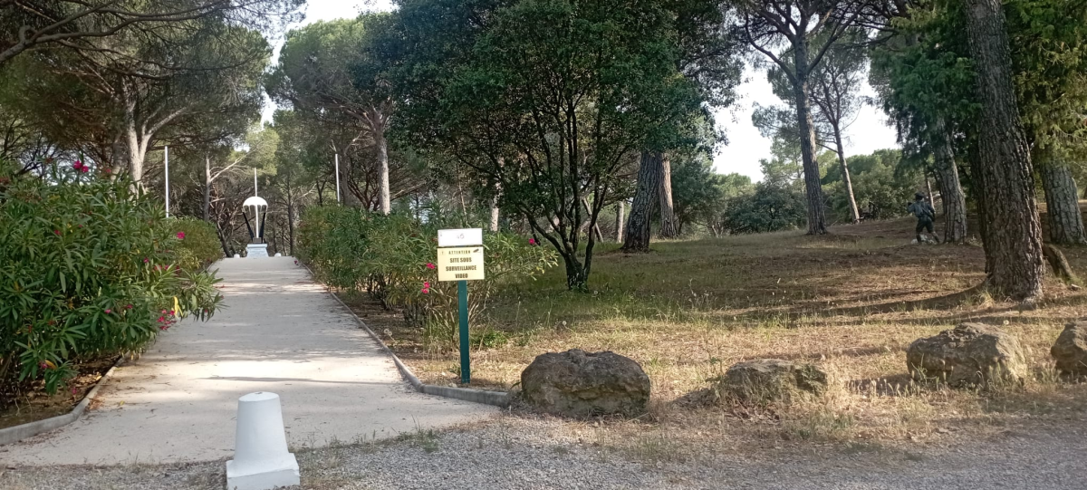 Non à l'abattage d'arbres centenaires - Sauvons des espèces protégées - Protégeons le mémorial
