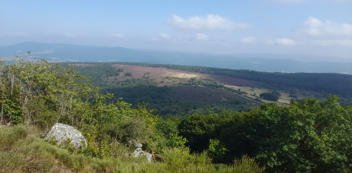 Notre marque restera dans notre région