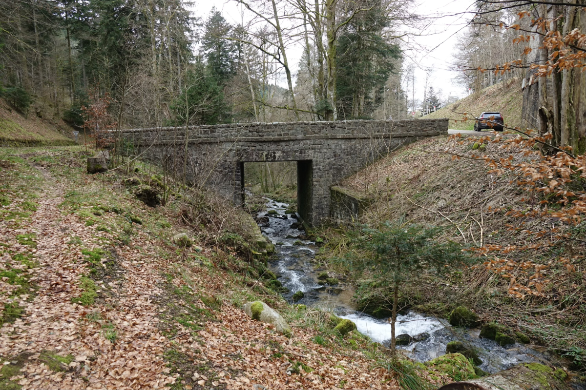 Réfection des ponts: Sauvons nos ponts historiques de leur destruction