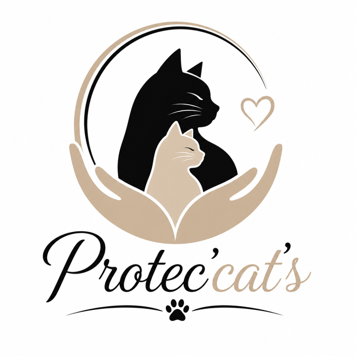 Stop au Violence faites au chats