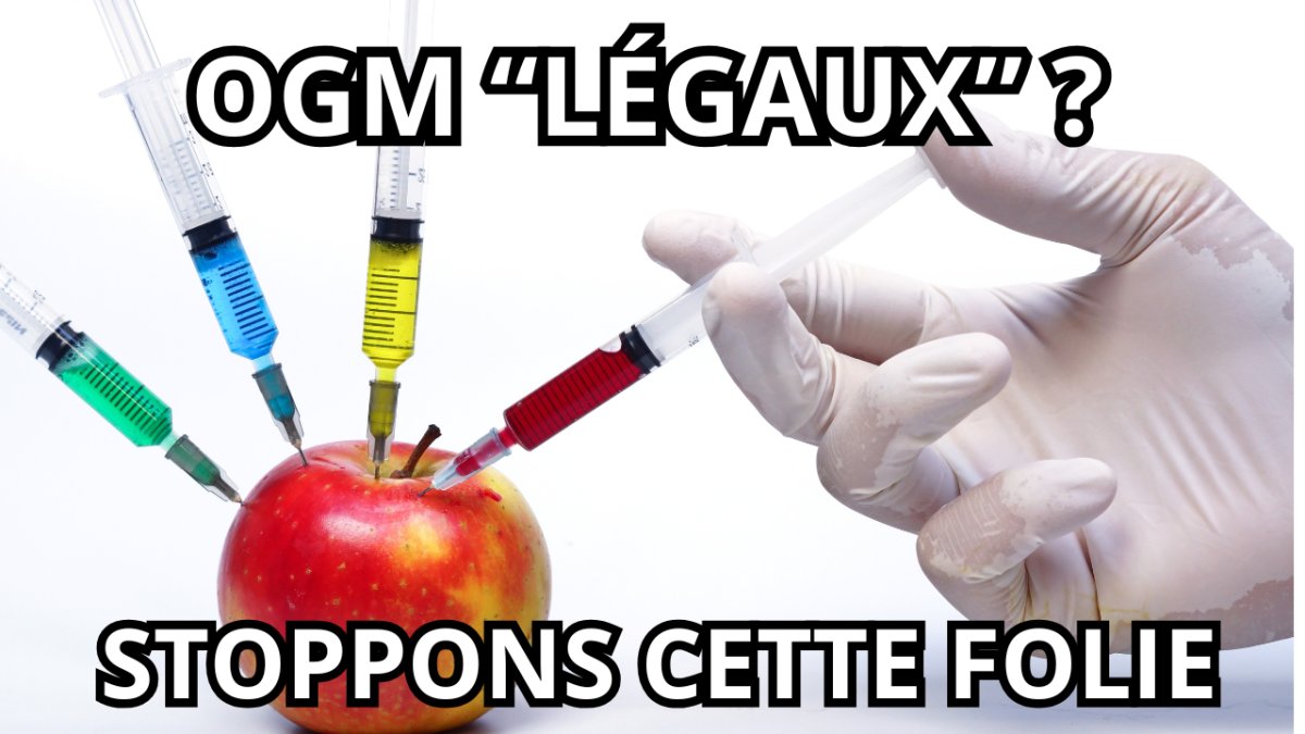 STOP AUX NOUVEAUX OGM CACHÉS : NON À LA DÉRÉGLEMENTATION DES NGT EN EUROPE !