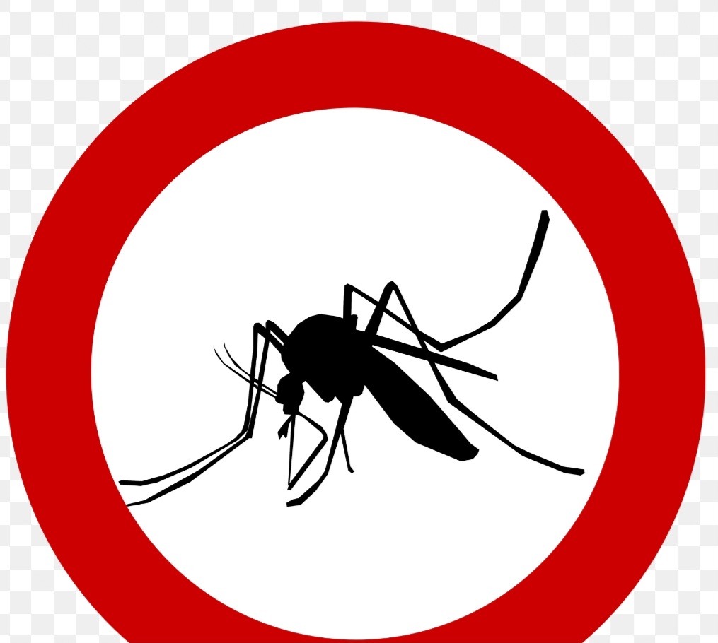 Traitement des moustiques st Martin de Crau